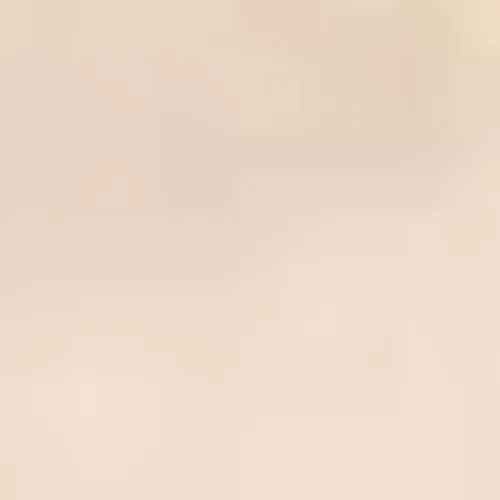 JOURNAL DU VENDREDI 26 NOVEMBRE ( SOIR )